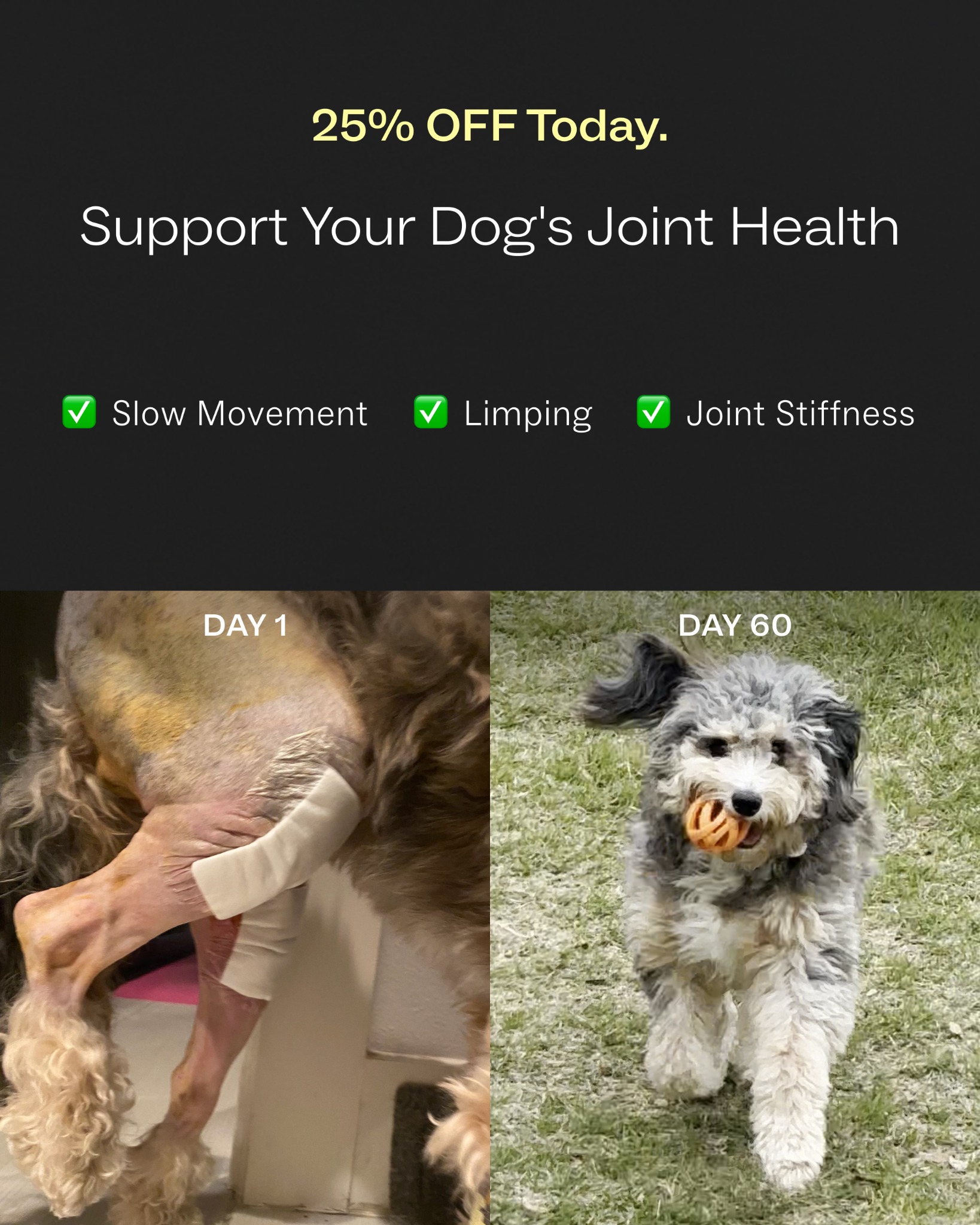 Dog is Human Facebook ad