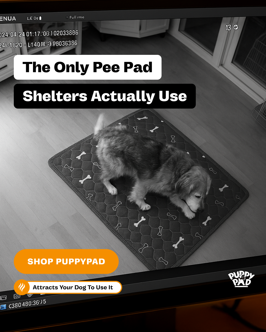 PuppyPad Facebook ad