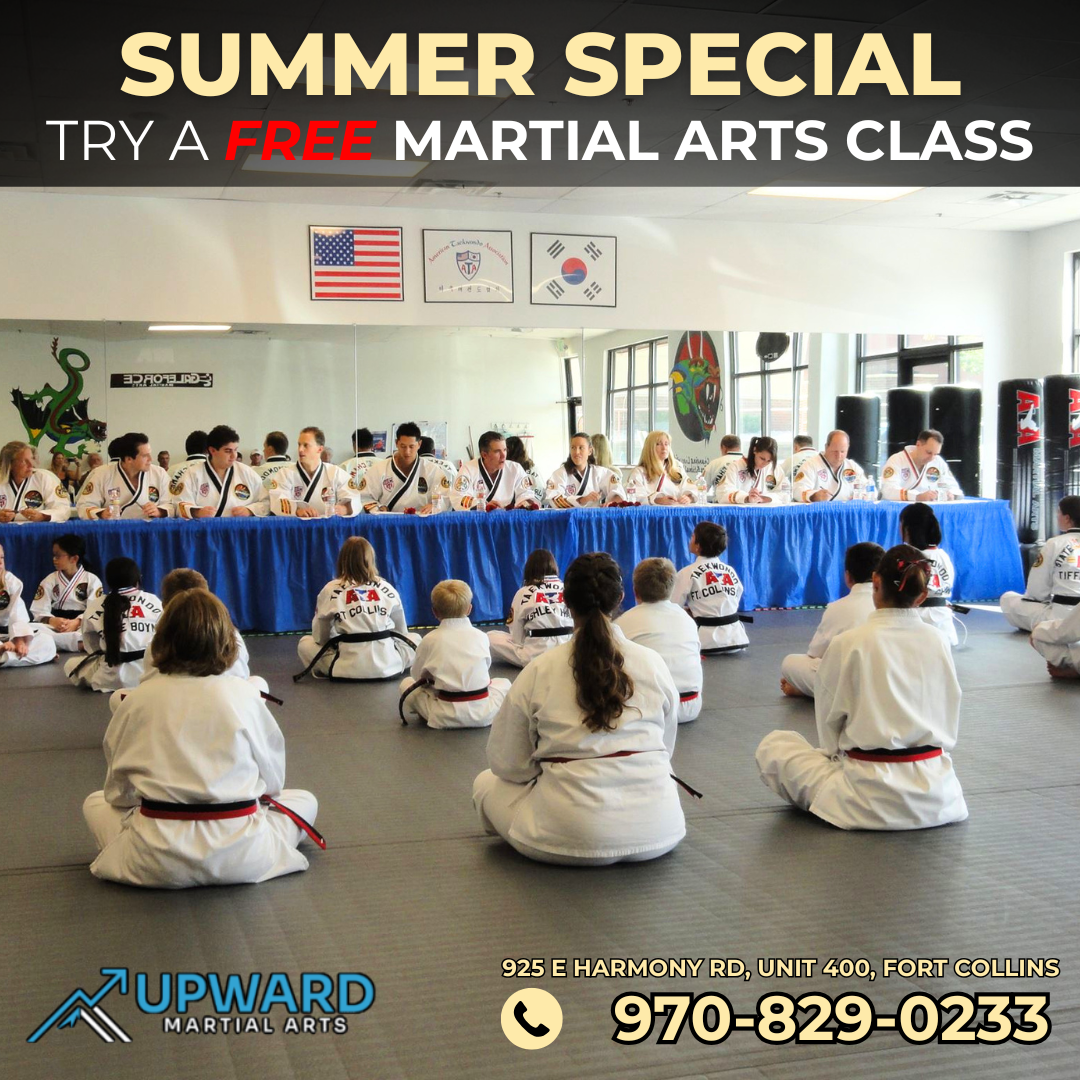 Upward Martial Arts Facebook ad