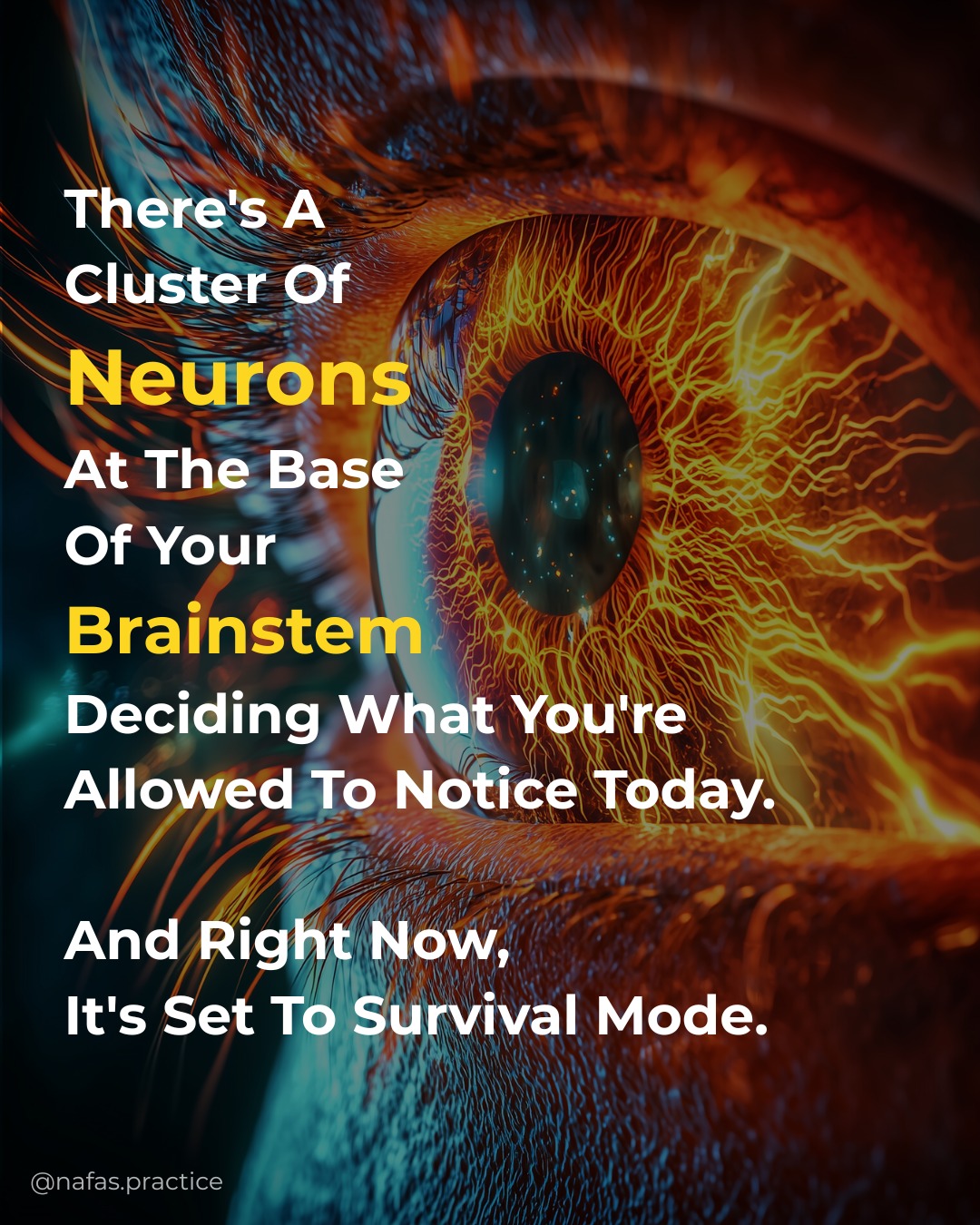 nafas.practice Facebook ad: there's a cluster of neurons at the base…