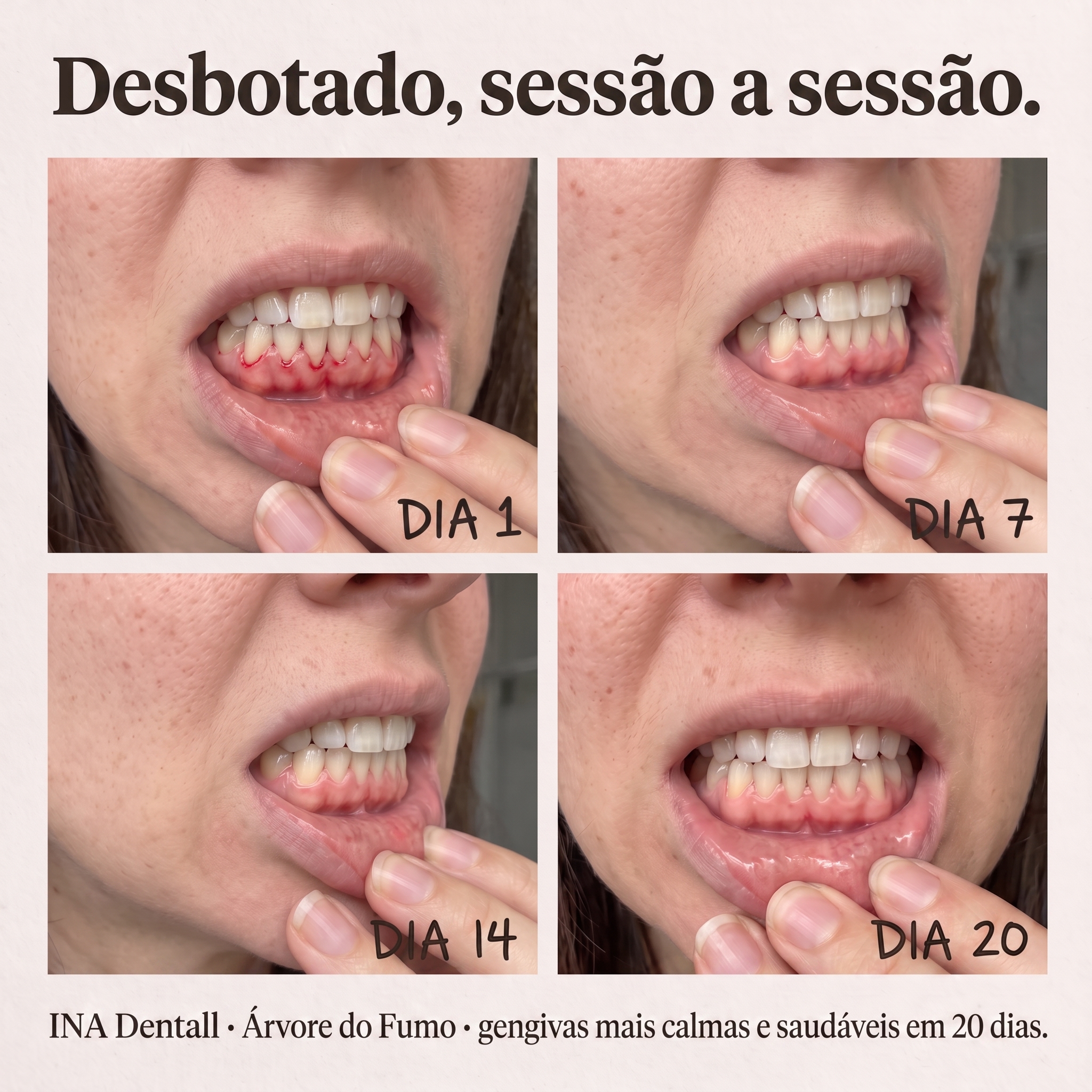 Cosméticos Orgânicos Familiares - InaEssentials.PT Facebook ad: Gengivas mais calmas, dia após dia.