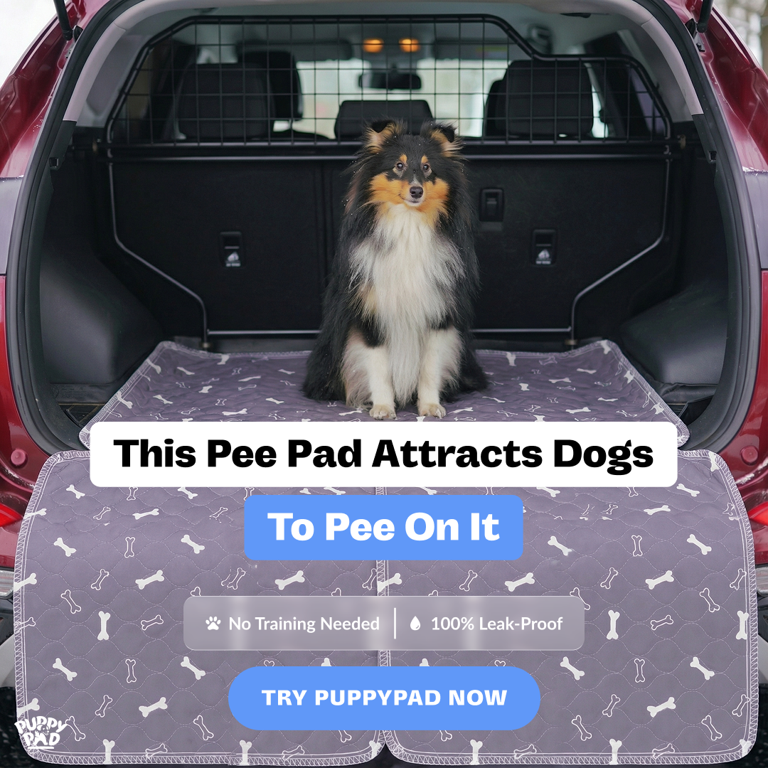 PuppyPad Facebook ad