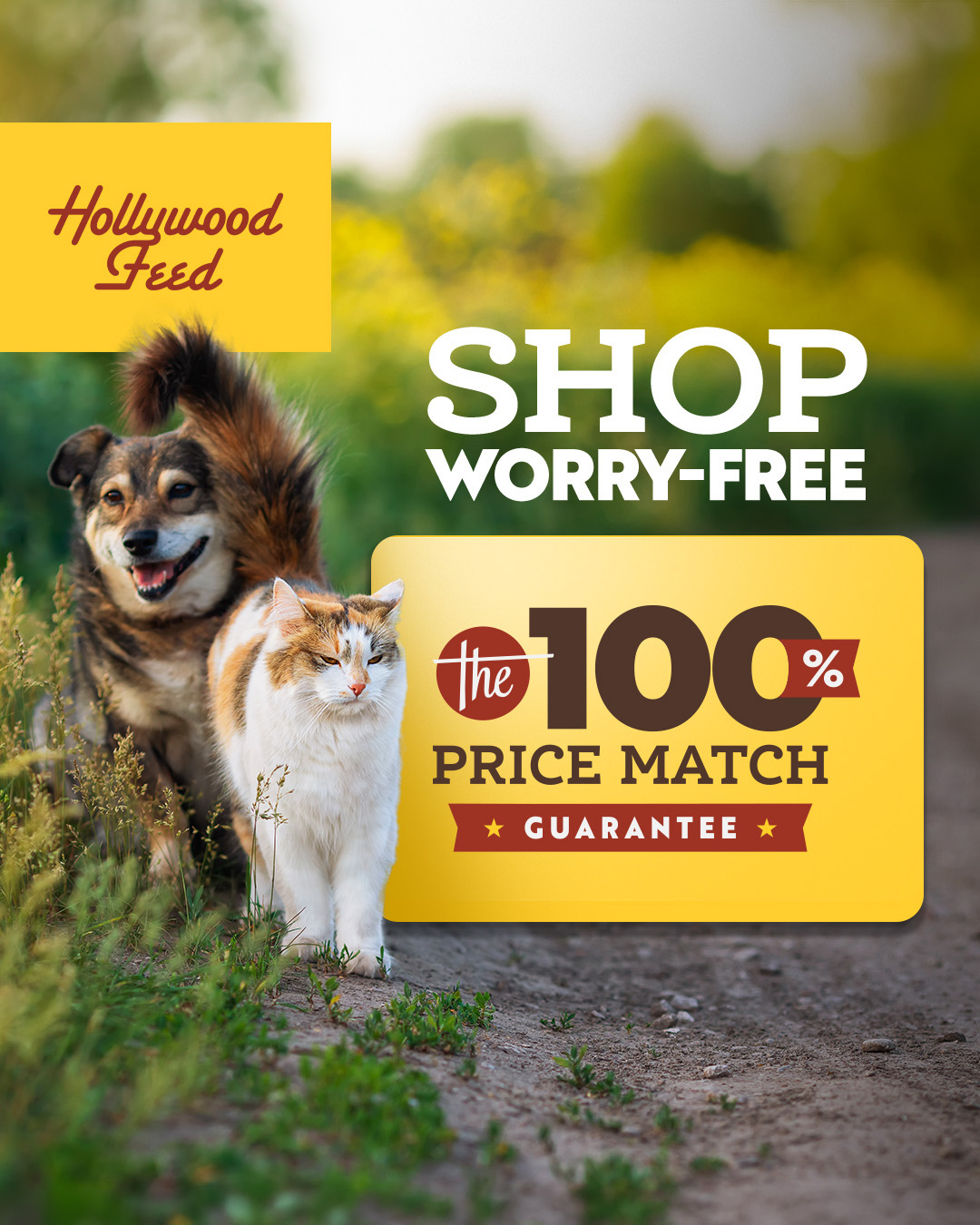 Hollywood Feed Facebook ad