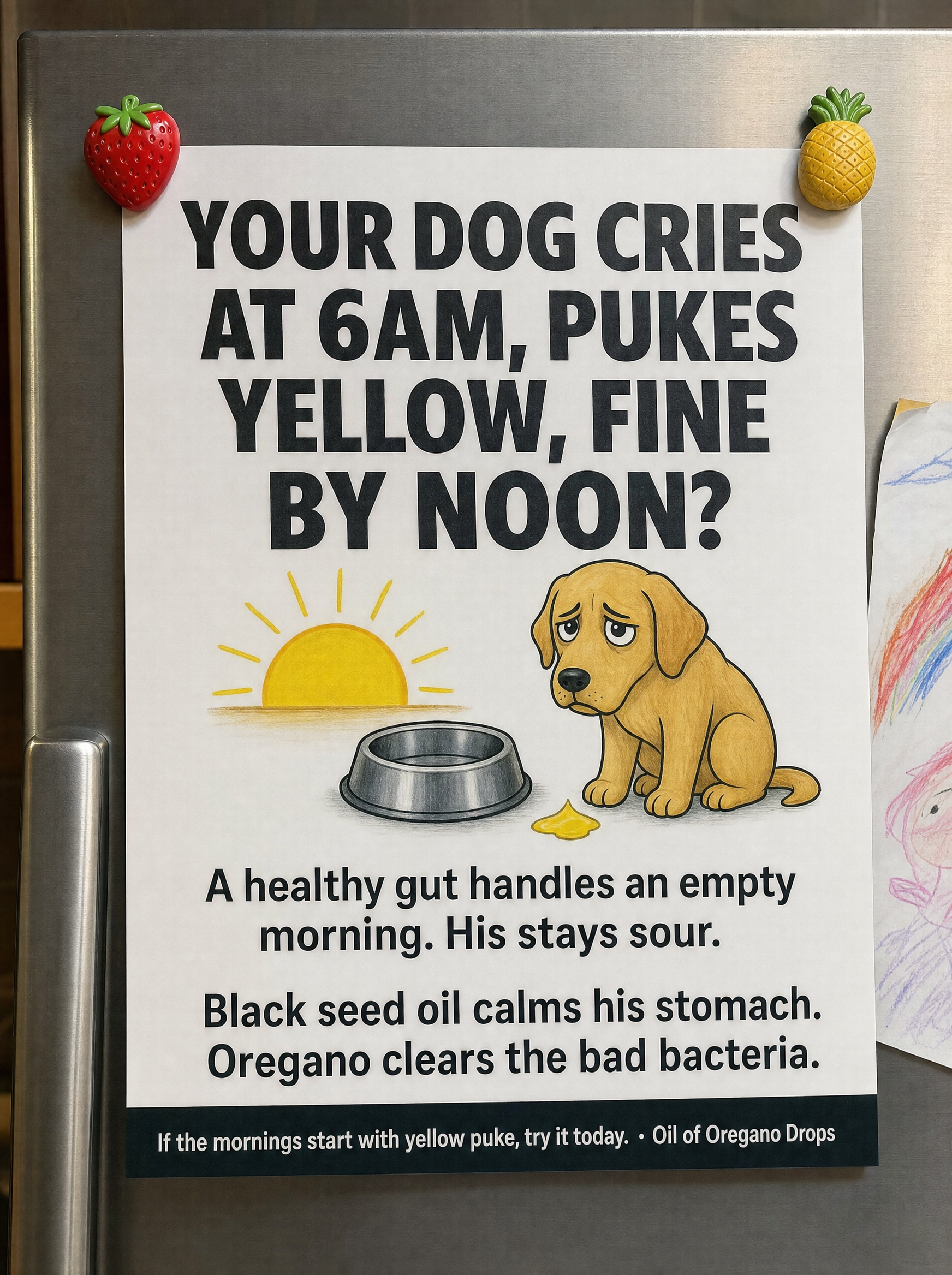 Riverside Veterinary Clinic Facebook ad: Morning Bile Isn't an Empty-Stomach Problem