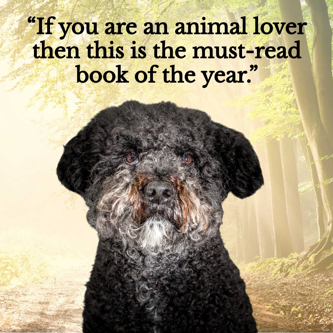 Alyson Sheldrake Author Facebook ad: One of the best books I’ve ever read.