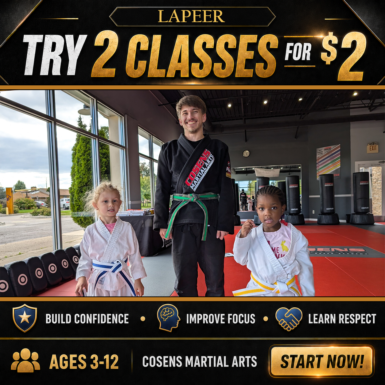 Cosens Martial Arts Lapeer Facebook ad