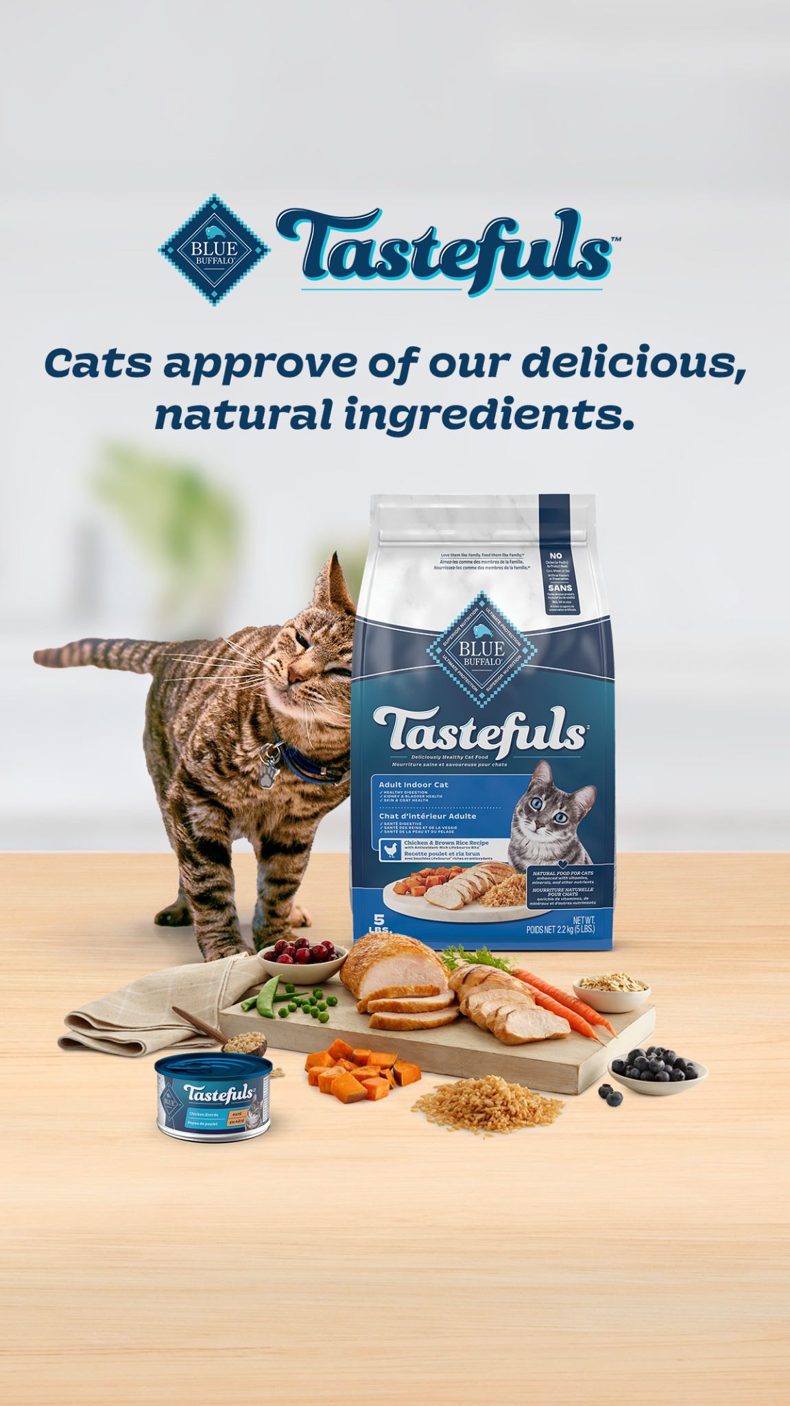 Blue Buffalo Facebook ad