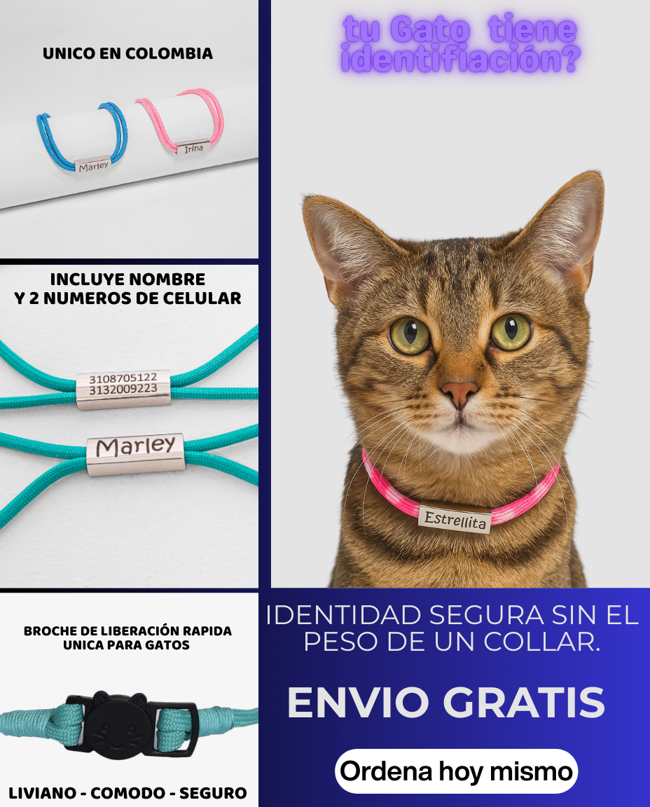 la.cachorreria Facebook ad: ¡Tu Peludo, identificado siempre!
