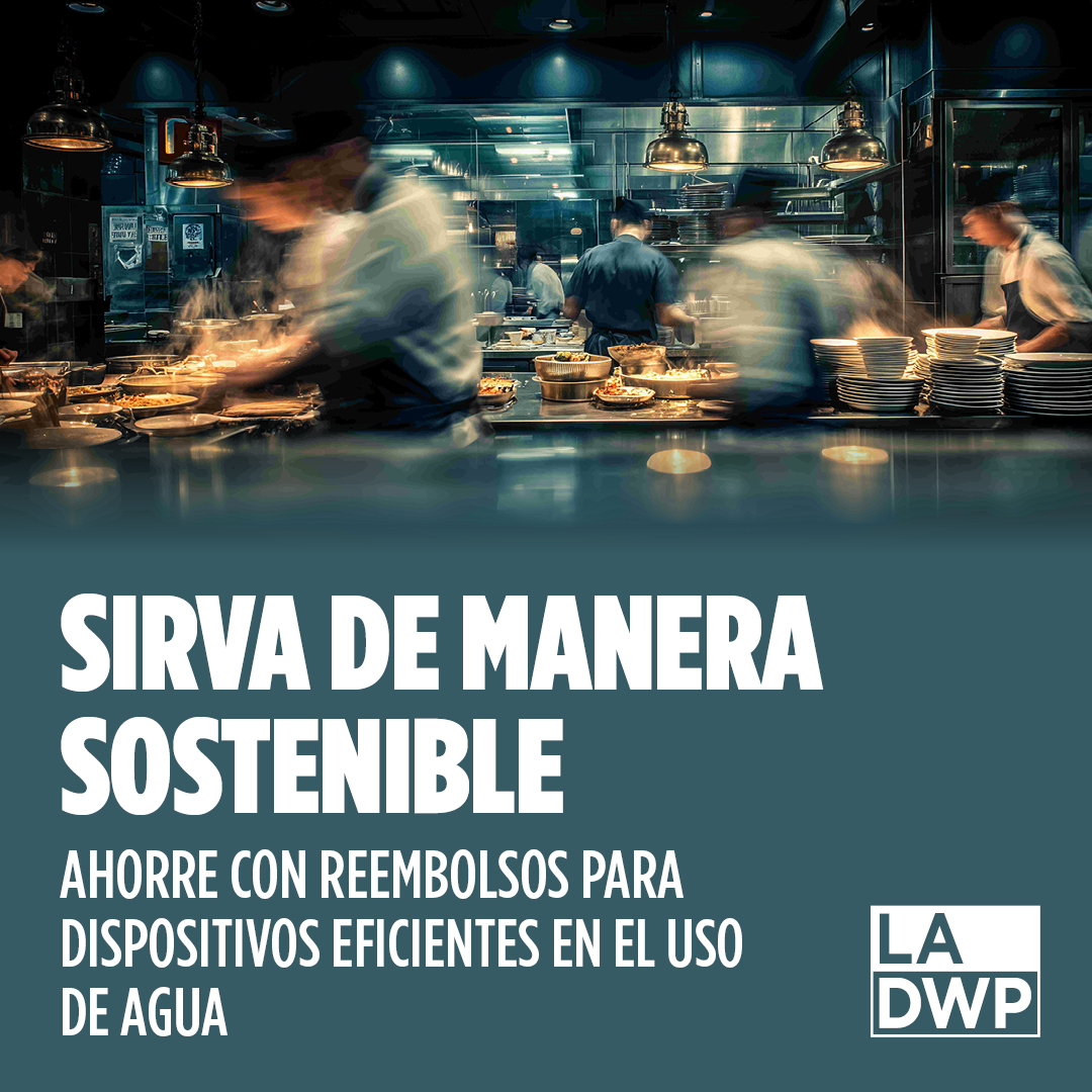 Los Angeles Department of Water & Power Facebook ad: Reembolsos de ahorro de agua