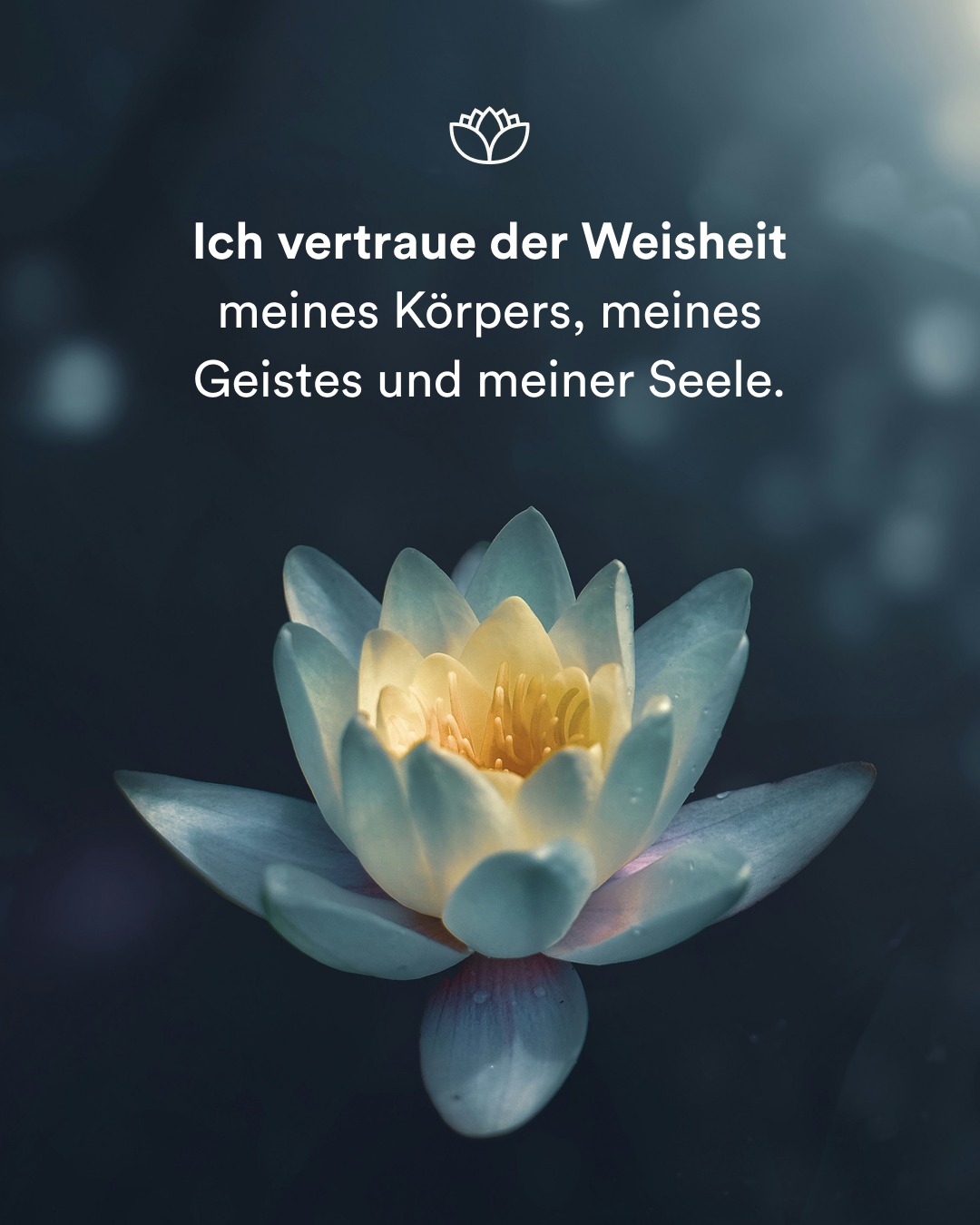 Scholistico Deutsch Facebook ad