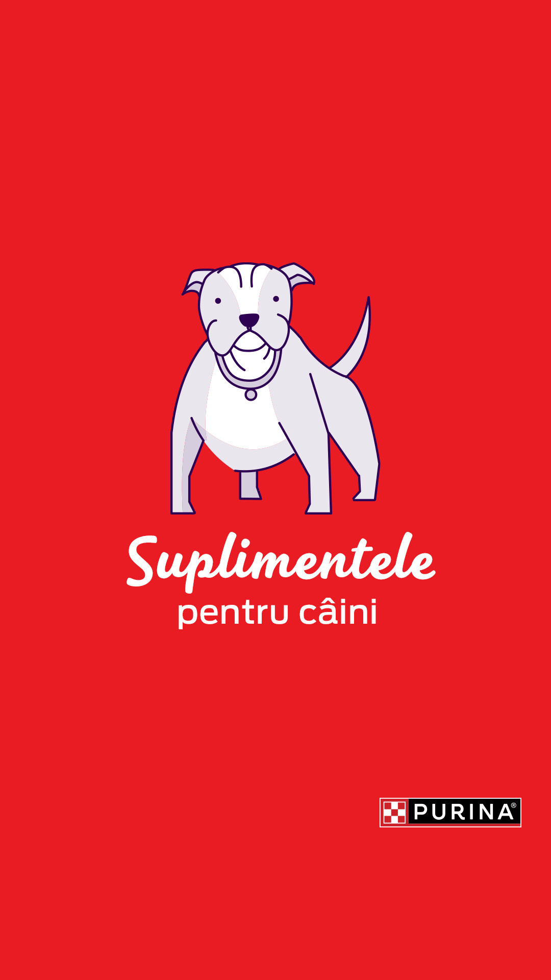 Purina Romania Facebook ad from Feb 28, 2026