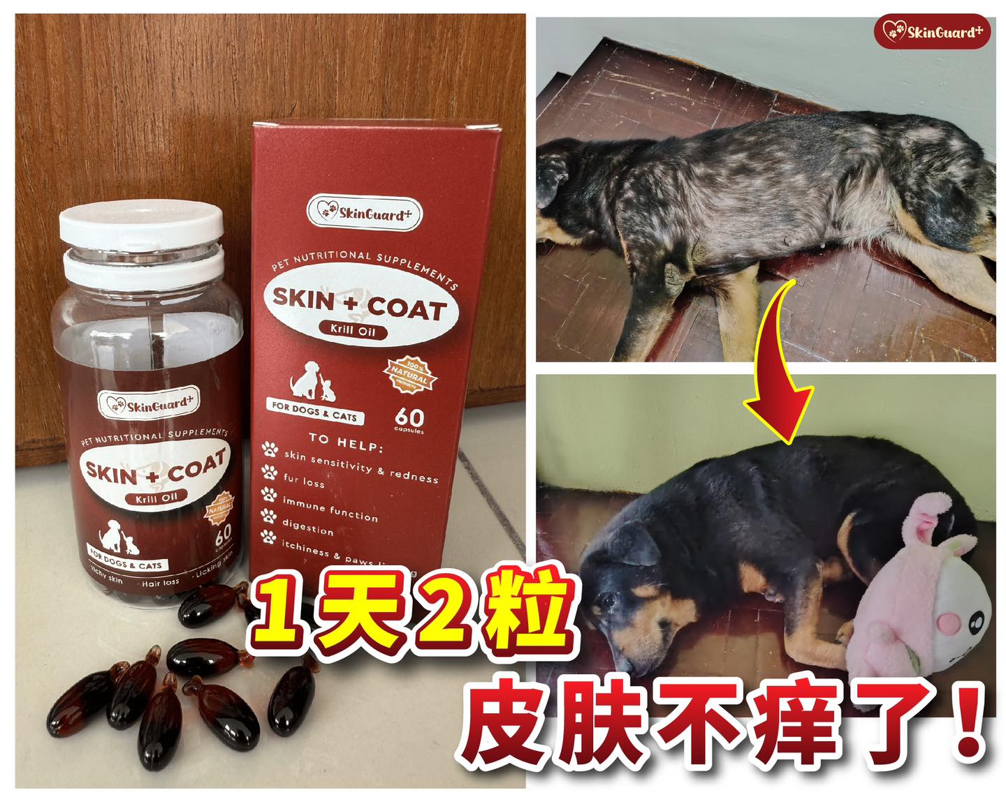SkinGuard+ Facebook ad: 的【皮肤救星】来了 你家的菜菜狗皮肤是不是也像图里的狗狗一样 敏感?