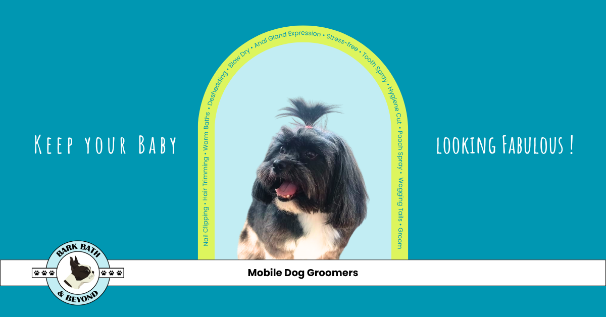 Bark Bath & Beyond Grooming Langebaan Facebook ad from Jul 8, 2026