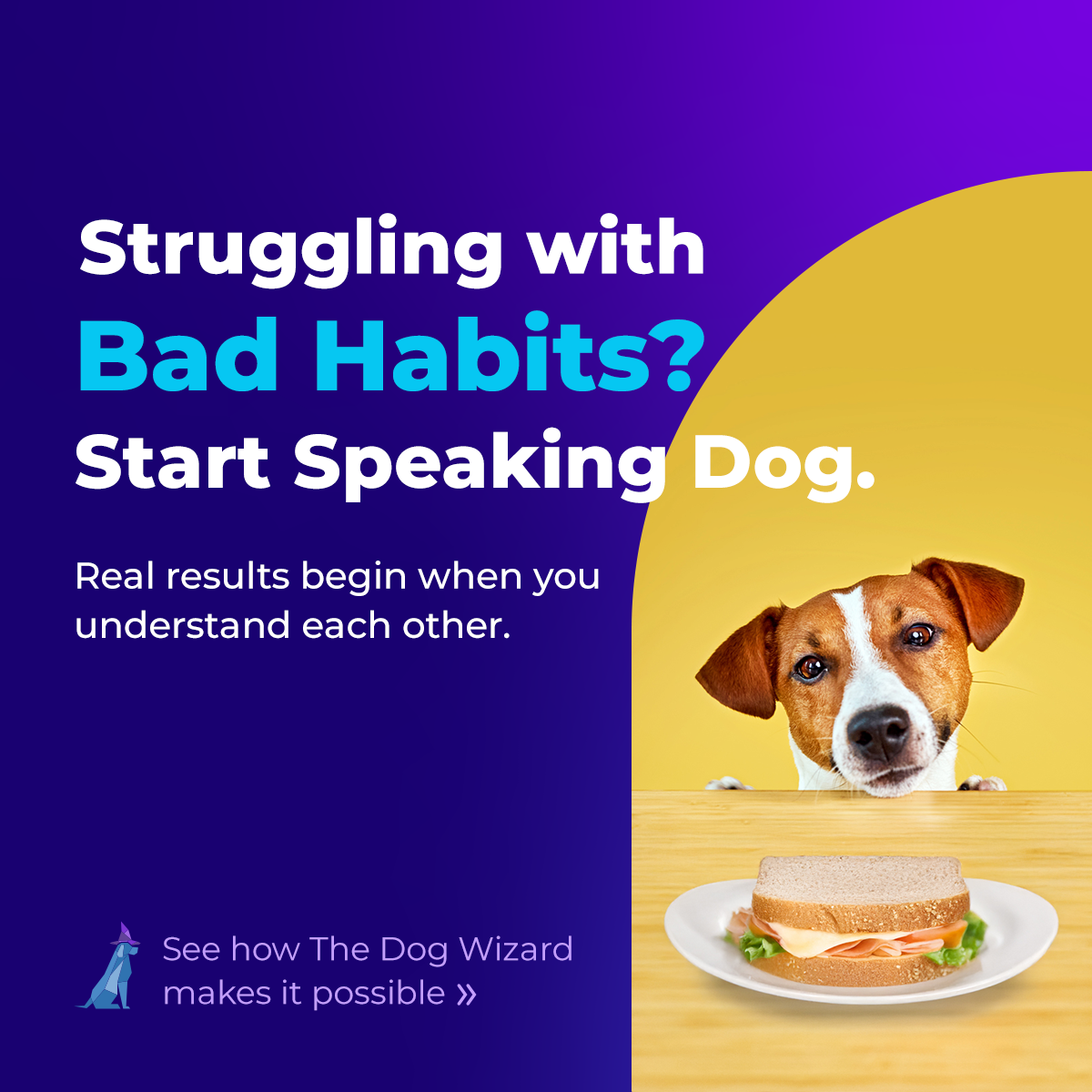 The Dog Wizard Ann Arbor Facebook ad: Discover The Dog Wizard Ann Arbor, where transformation…