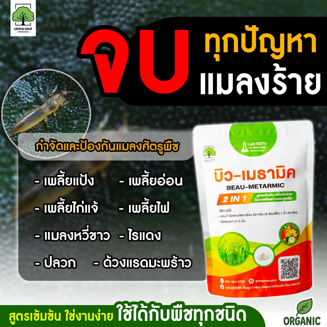 บิวเมธามิค กำจัดศัตรูพืช เชื้อคุณภาพสูง Facebook ad: ลูกค้าเก่า ทักแชท รับส่วนลดพิเศษ