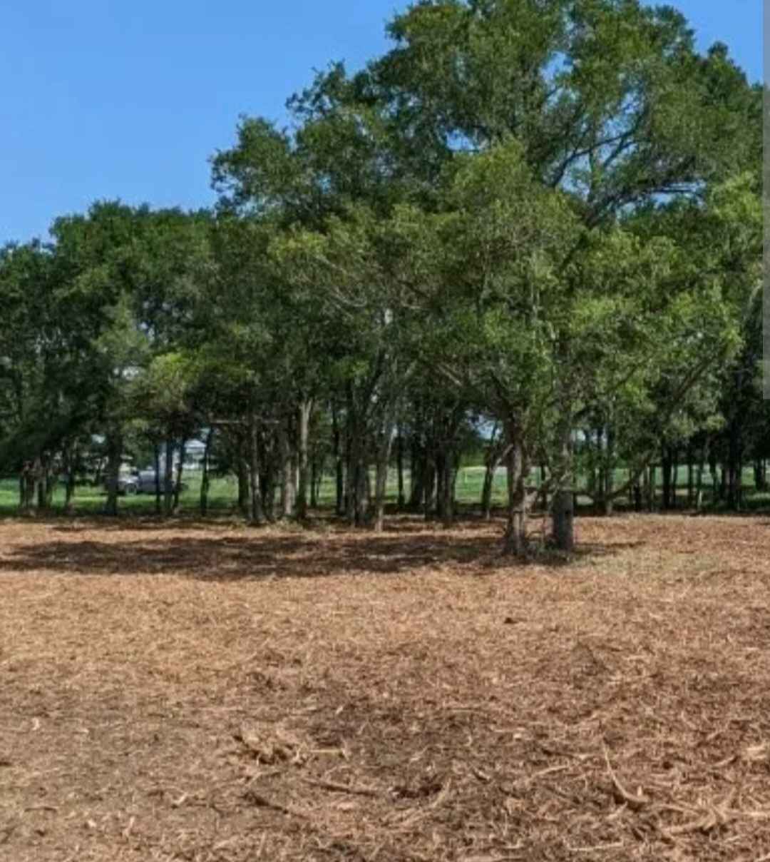 Mason Webb Facebook ad: Brush Clearing, Forestry Mulching