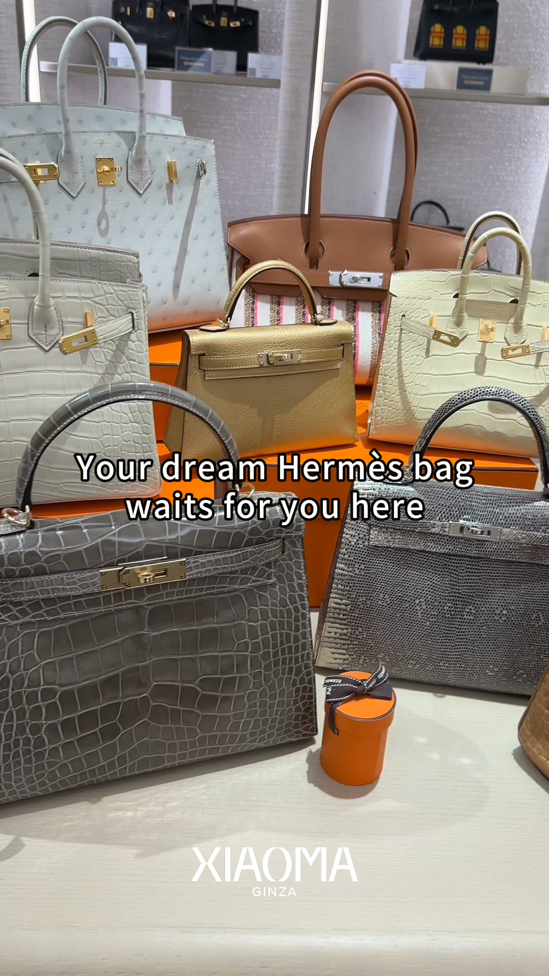 Ginza Xiaoma Facebook ad: Chat with us