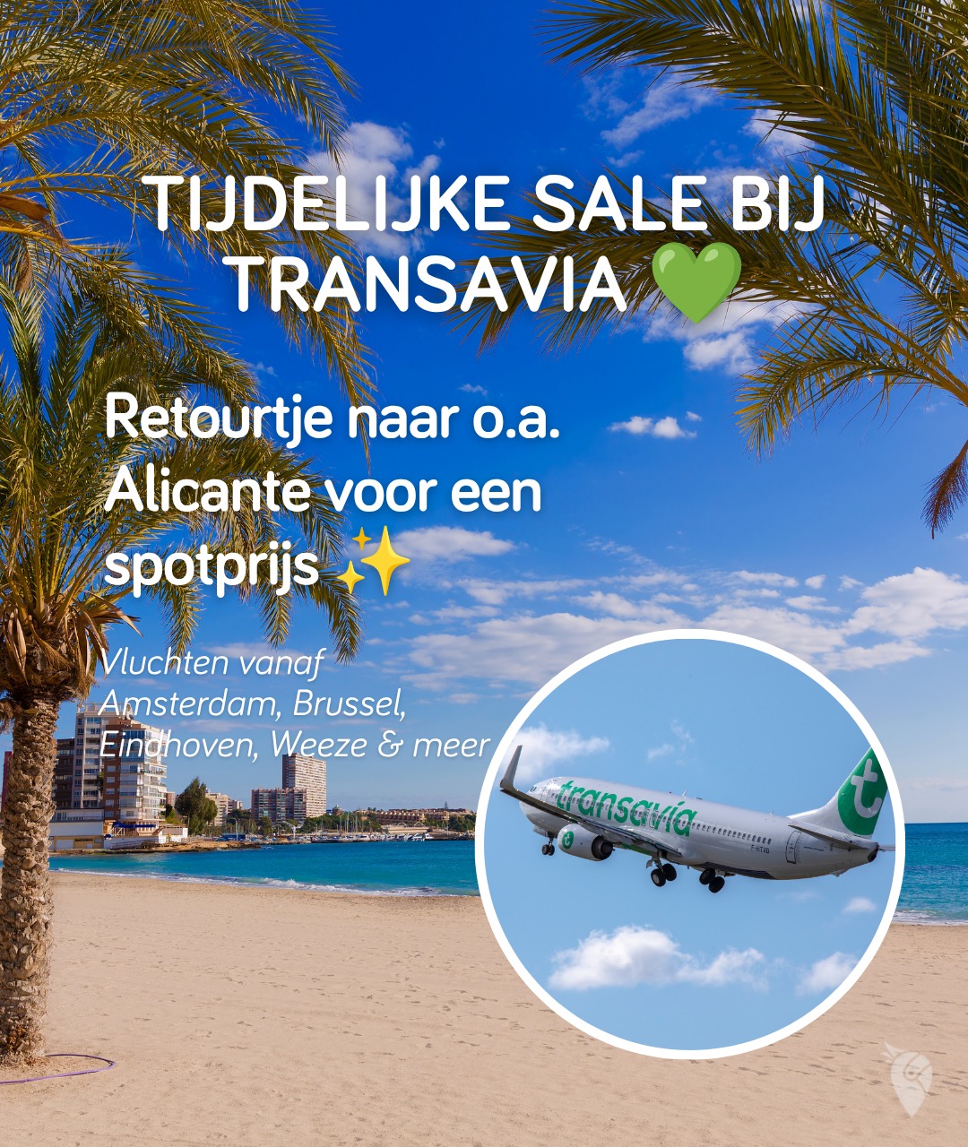 VakantiePiraten.nl Facebook ad