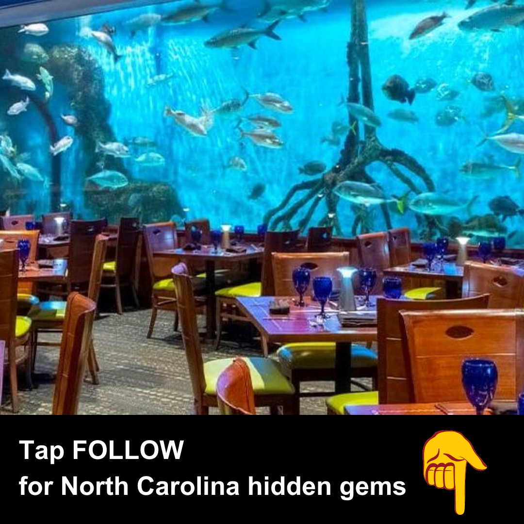 North Carolina Day Trips Facebook ad