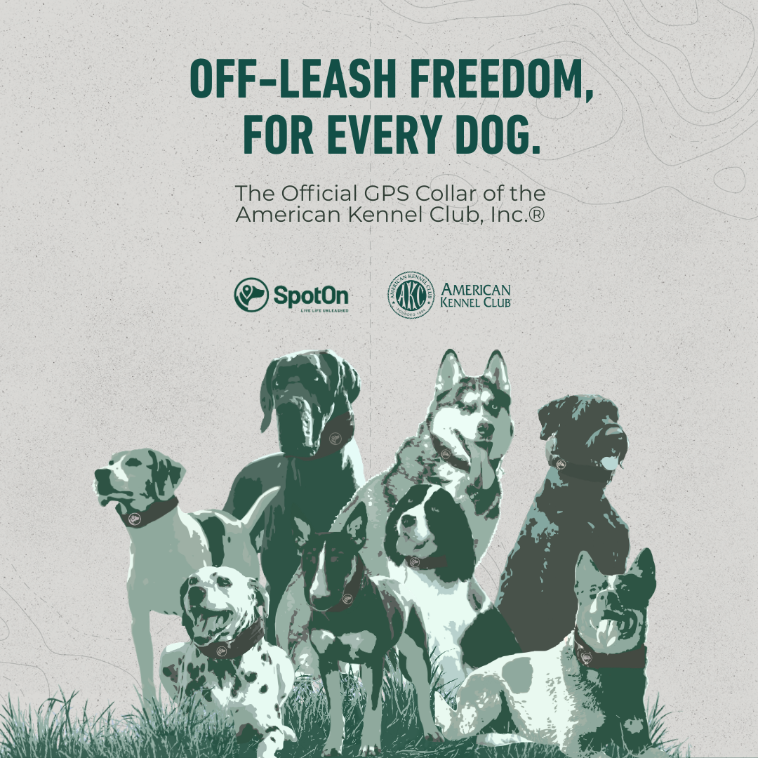 American Kennel Club Facebook ad