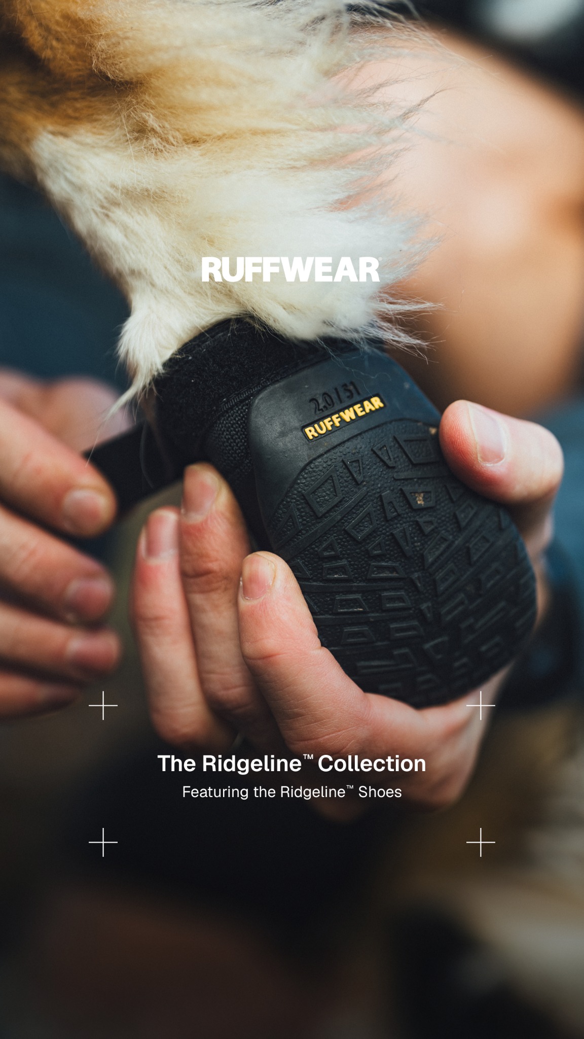 Ruffwear Facebook ad