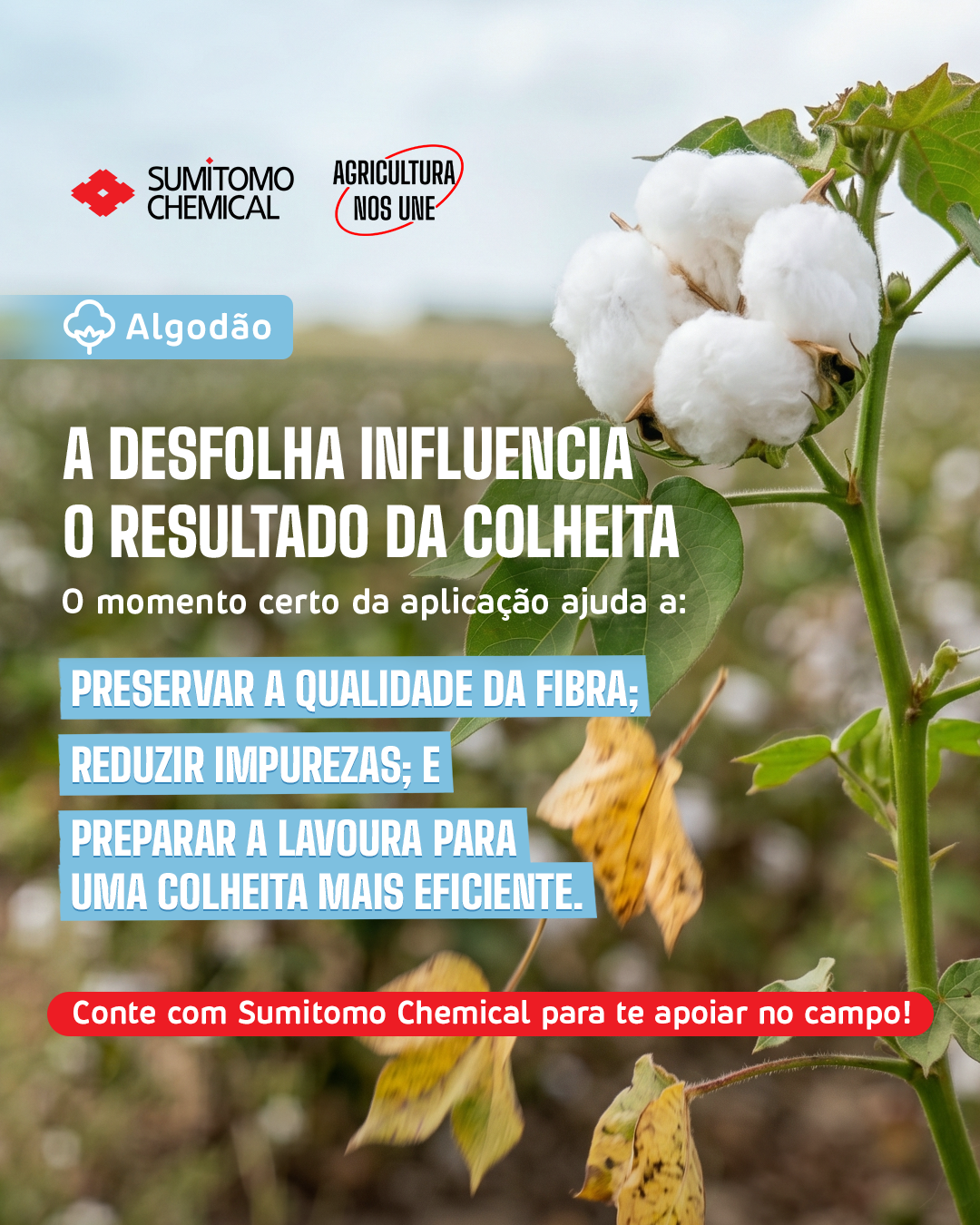 Sumitomo Chemical Brasil Facebook ad: Algodão - Sumitomo Chemical Brasil