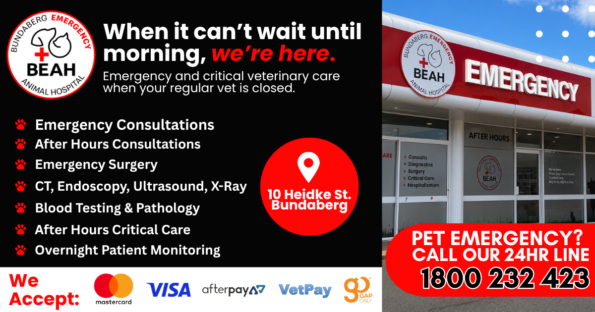 Bundaberg Emergency Animal Hospital Facebook ad: Your After-Hours Emergency Vet