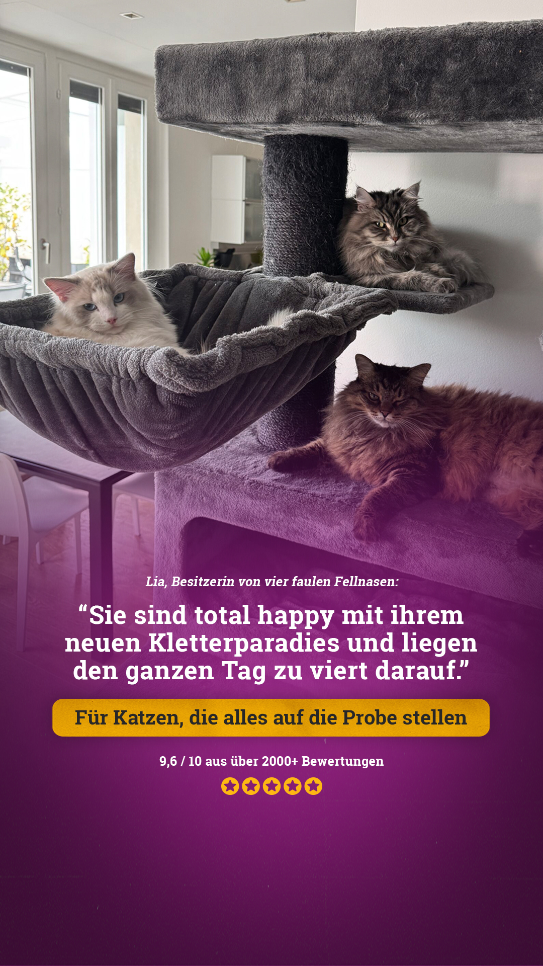 petrebels.com Facebook ad