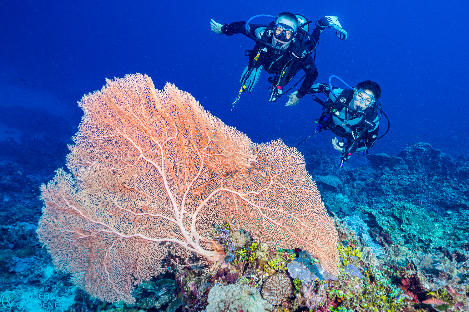 Metita Beach & Dive Resort Facebook ad: Find your hidden paradise at Metita Beach &…