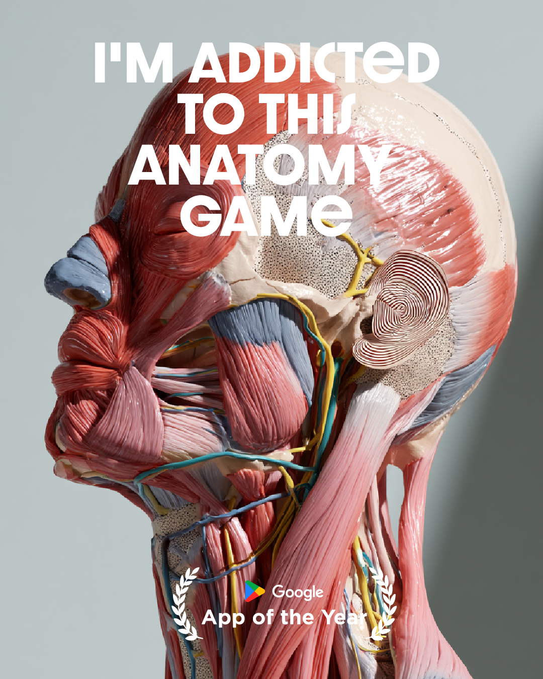 Imprint: Learn Visually Facebook ad: Start learning today.