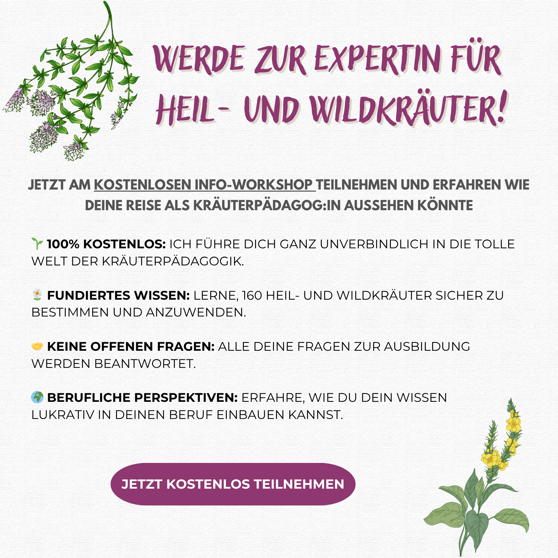 wild.wuchs.Natur Facebook ad