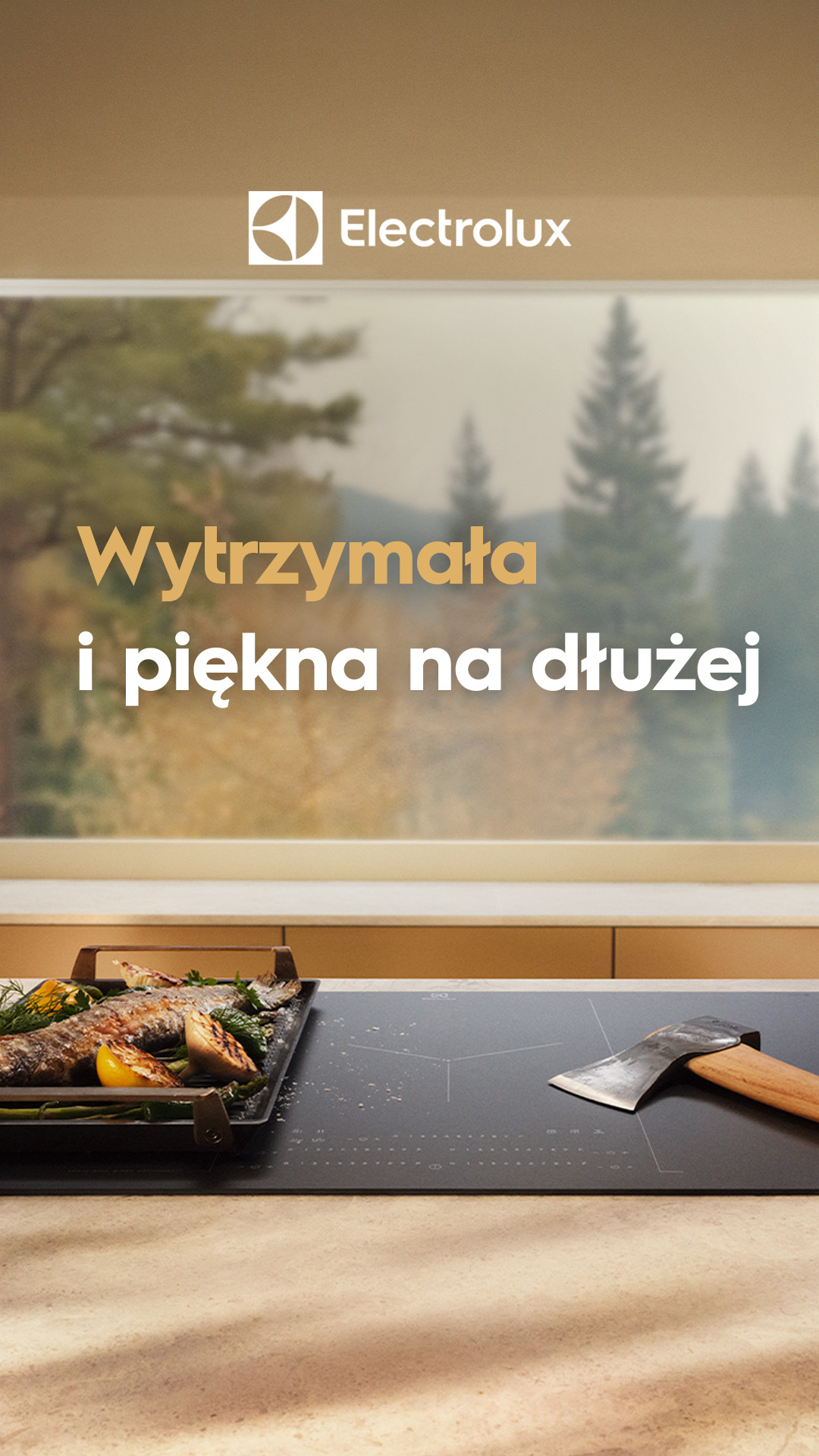 Electrolux Facebook ad