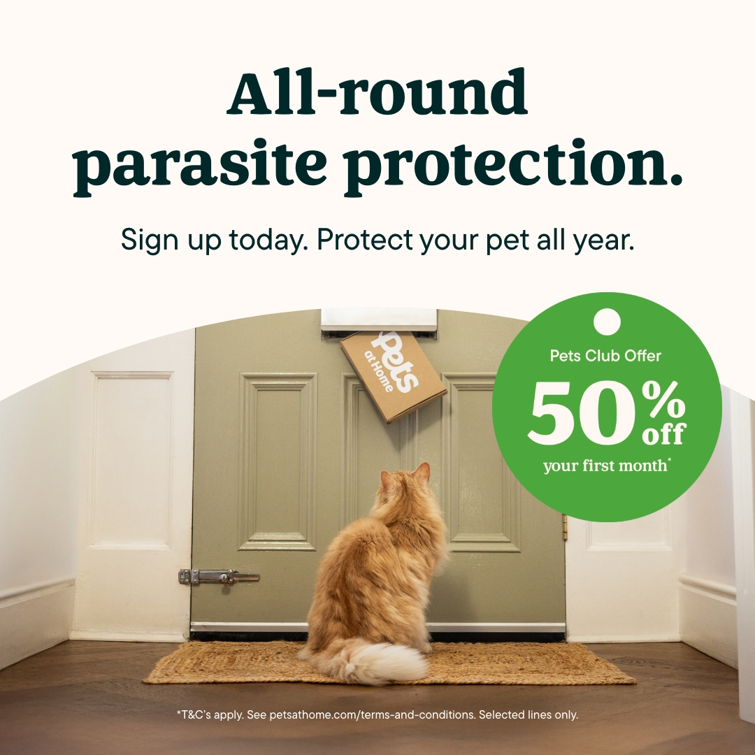 Pets UK Facebook ad
