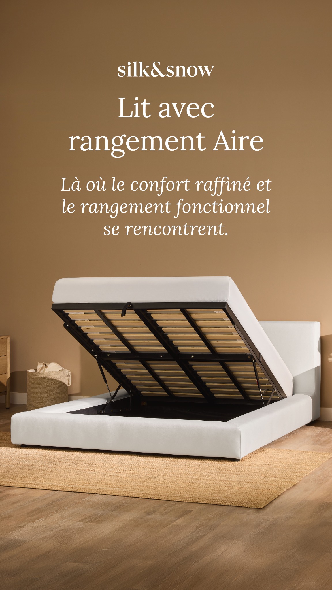 Maison Silk & Snow Facebook ad