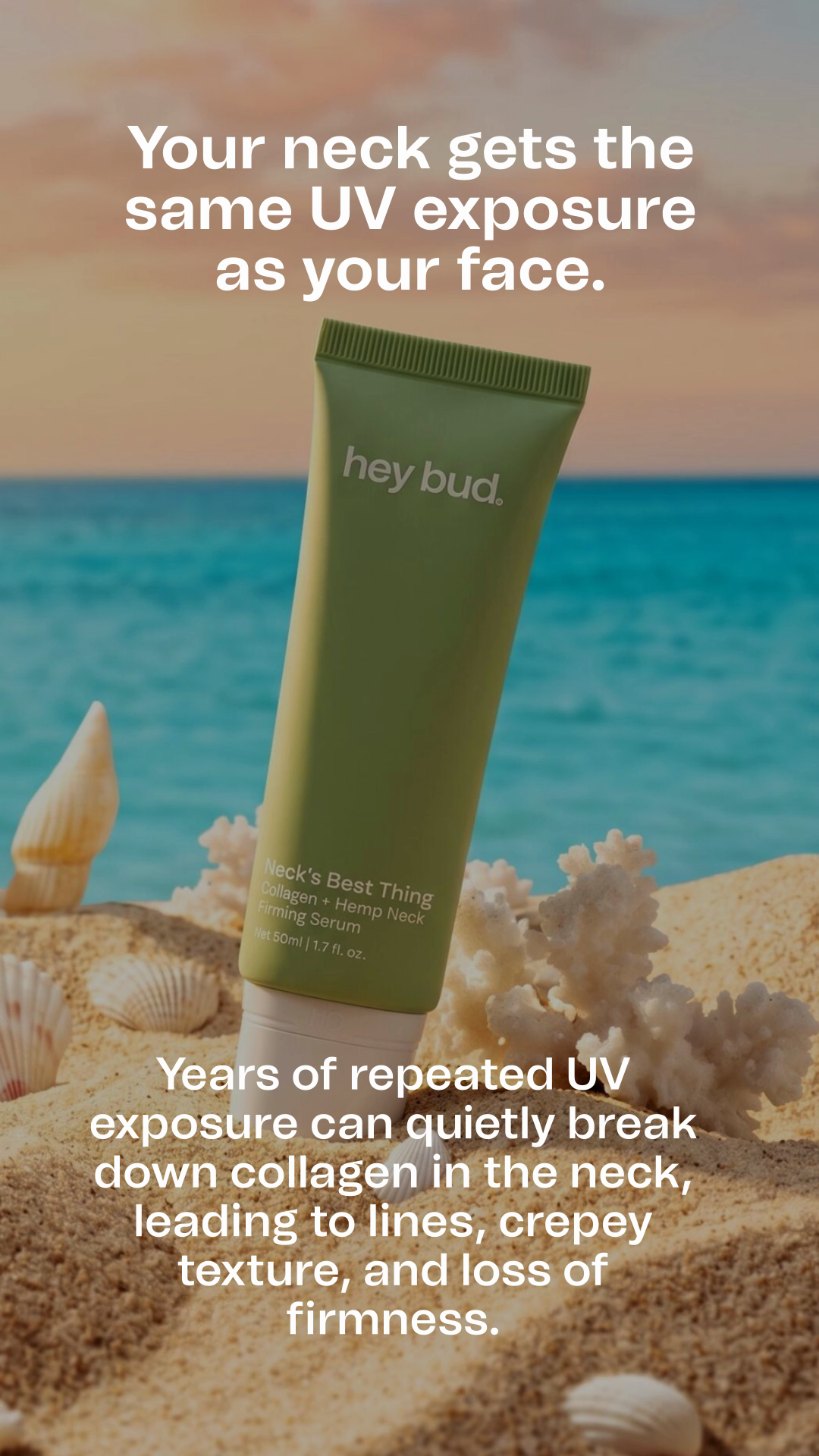 Hey Bud  Facebook ad