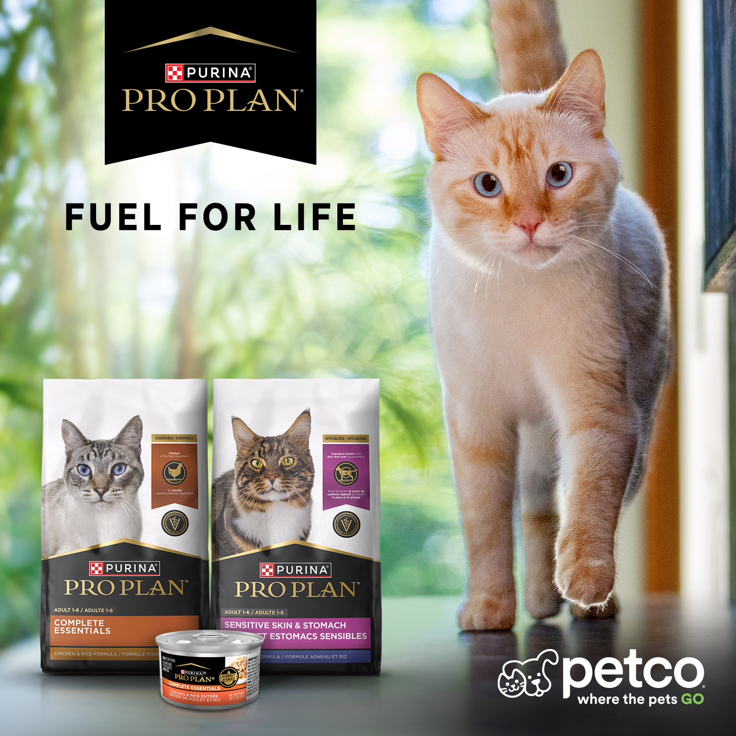 Petco Facebook ad