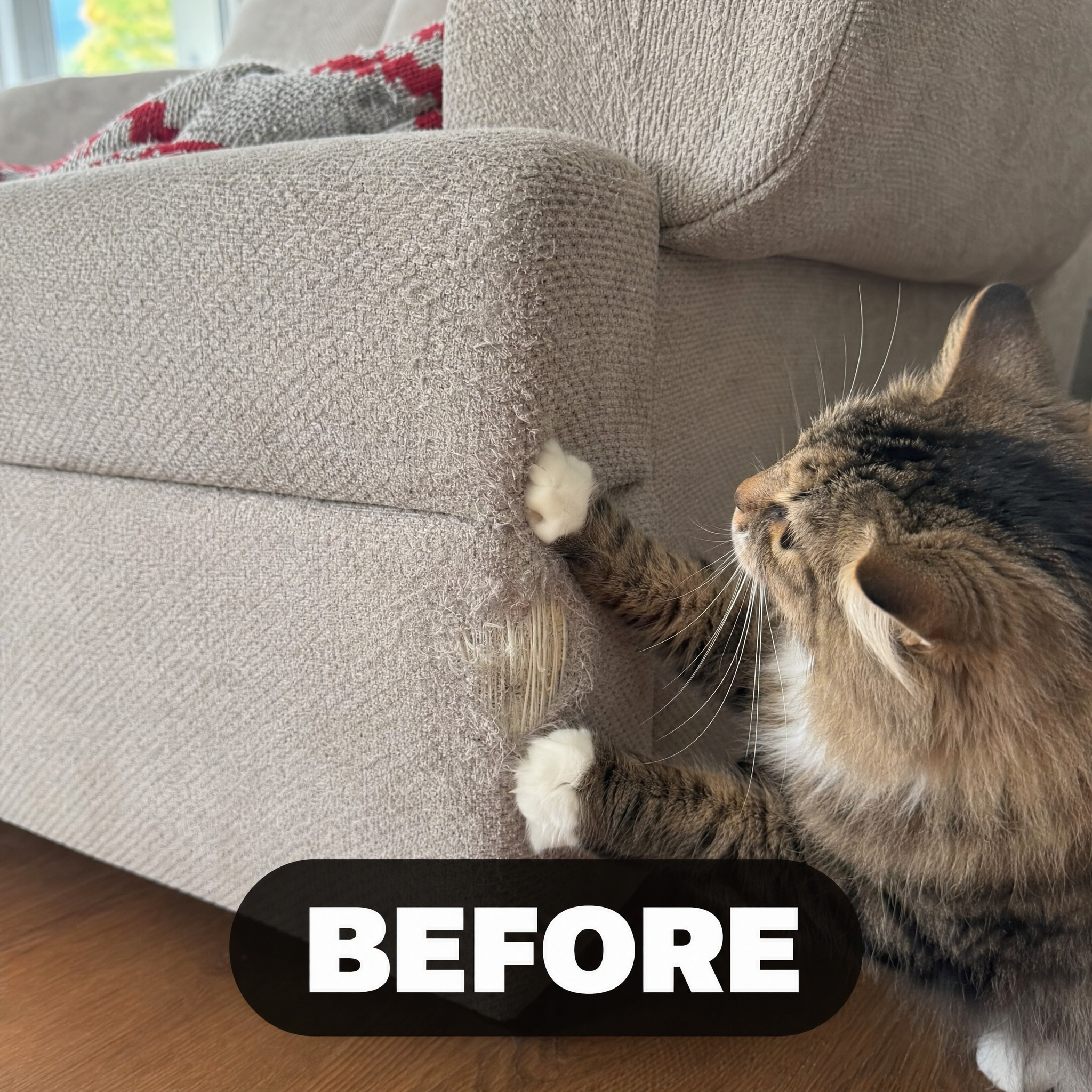 Leo's Paw Facebook ad