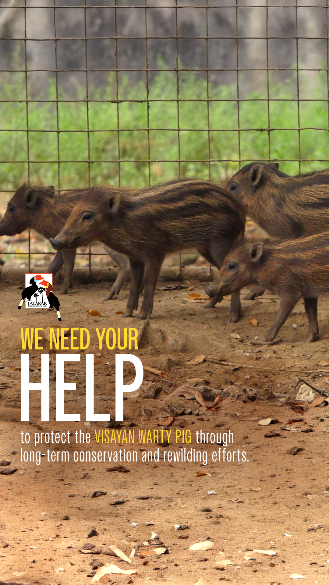 Talarak Foundation Facebook ad