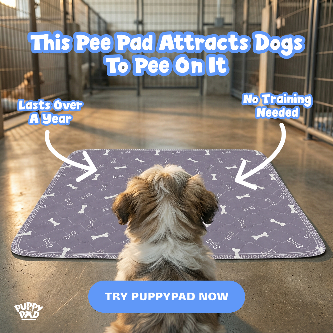 PuppyPad Facebook ad