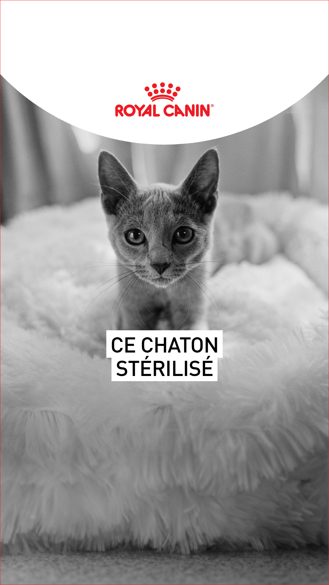 Royal Canin Facebook ad
