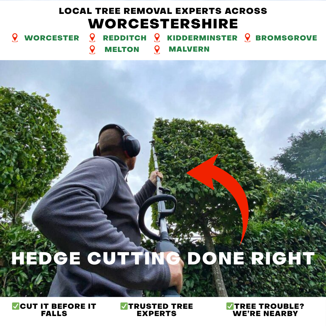 Worcestershire Tree Removal Facebook ad from Jan 8, 2026