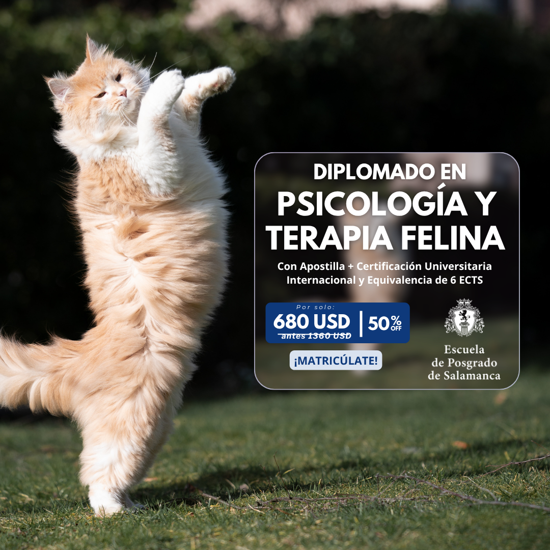 Posgrado Salamanca Latinoamérica Facebook ad from Aug 6, 2026