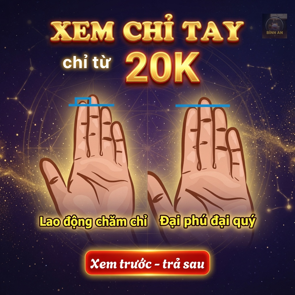 Chúi Tarot - Tử Vi, Chỉ Tay, Duyên Số Facebook ad