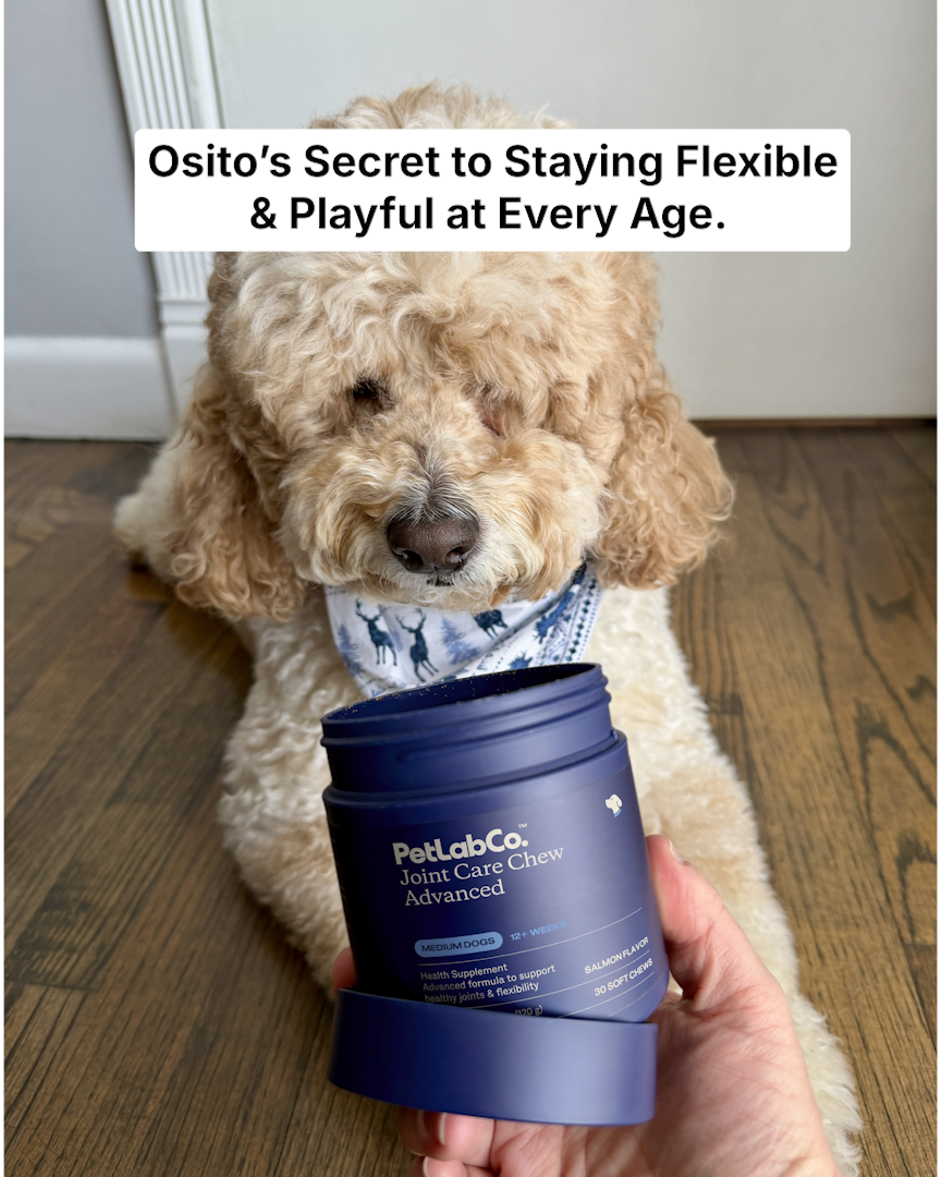 Osito Pup Wonder Facebook ad