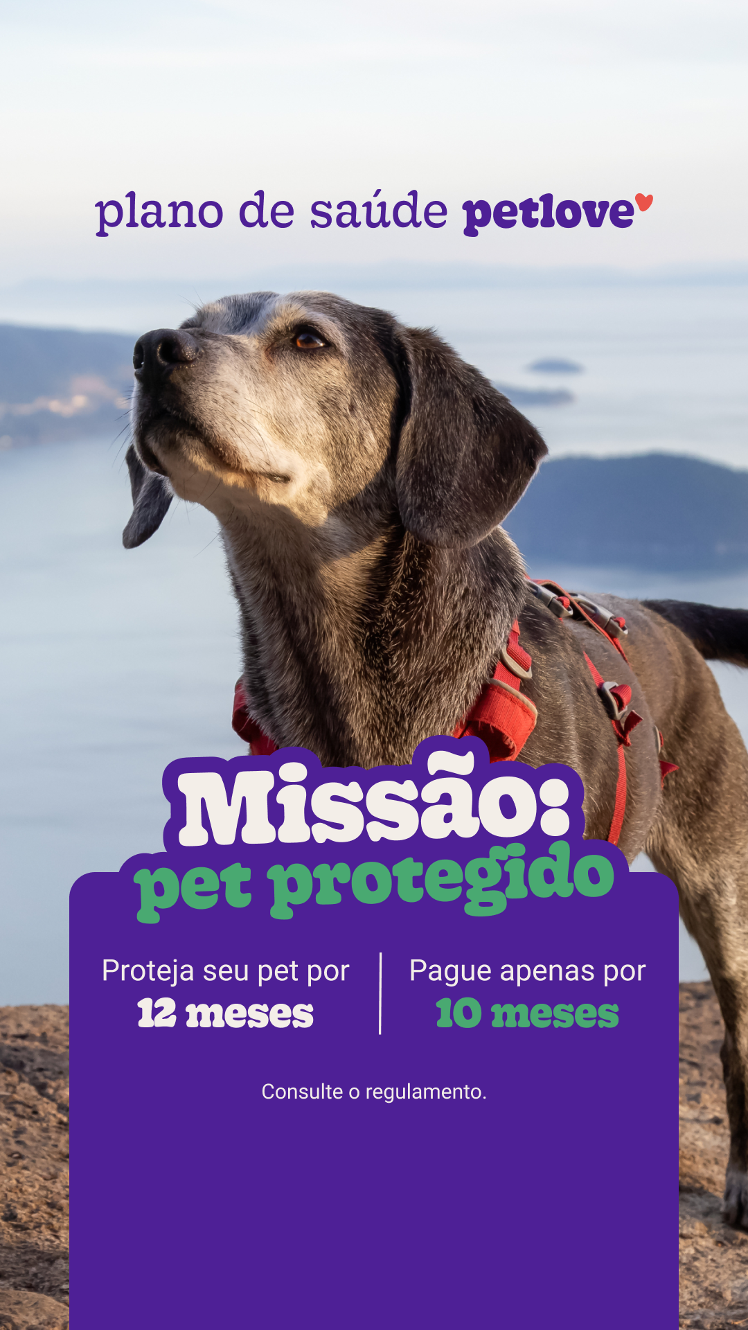 Petlove Facebook ad
