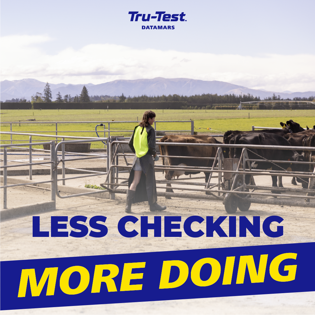 Datamars Livestock NZ Facebook ad: Labour pressure sorted