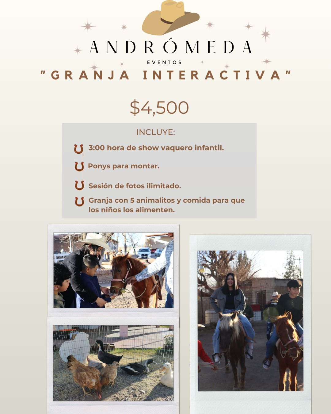 Andrómeda Eventos Delicias Facebook ad: Servicio único en Delicias y alrededores!