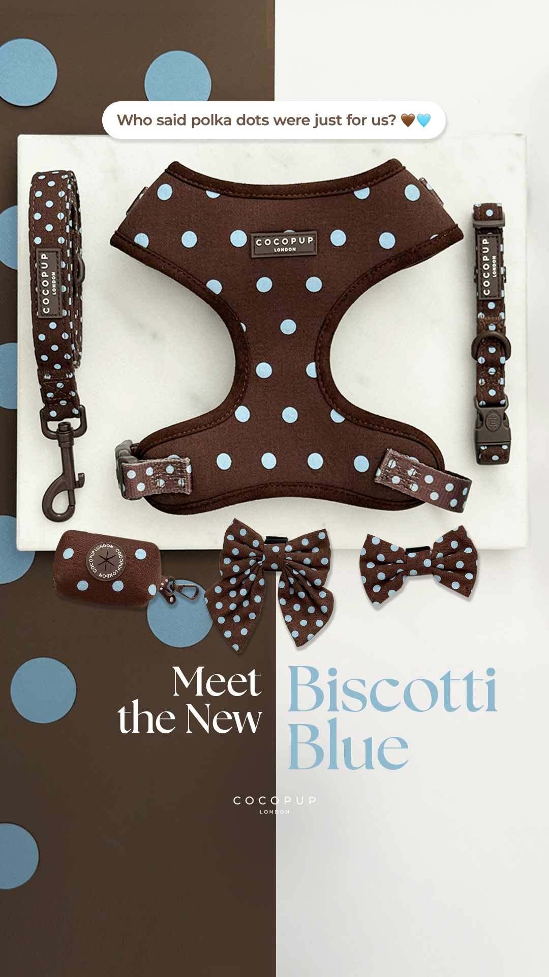 Cocopupuk Facebook ad: Meet Biscotti Blue