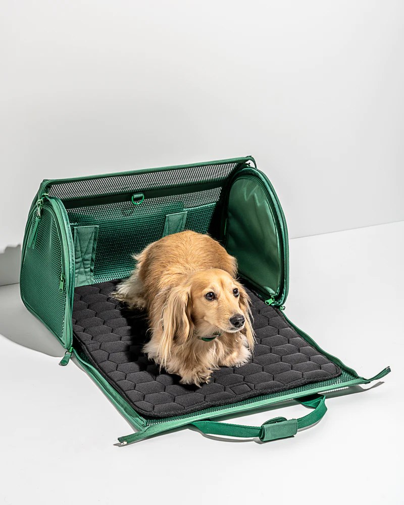 Mr. Peanut's Pet Carriers Facebook ad