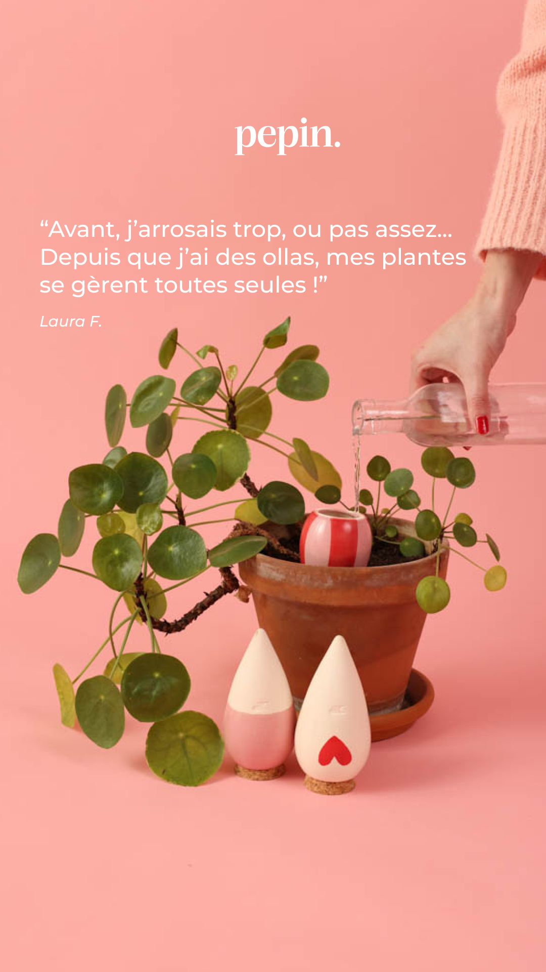 Pepin Facebook ad